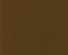 GREY_OLIVE_6006